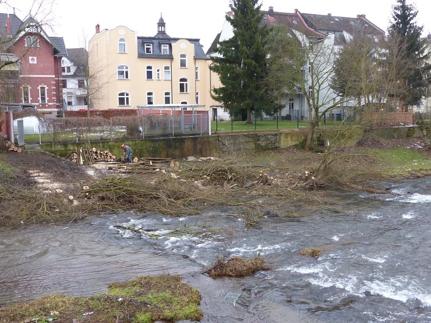 Windbruch oder abges&auml;gt?