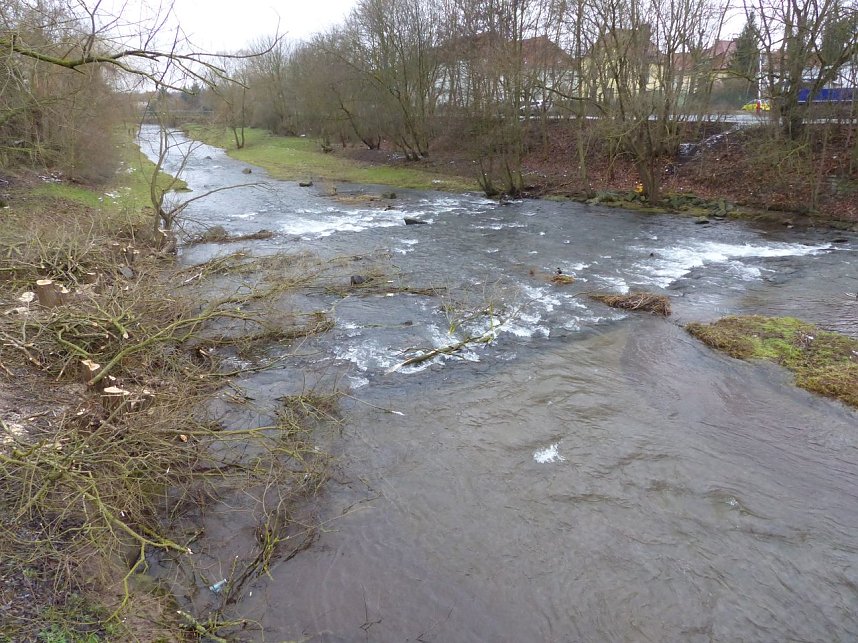 Windbruch oder abges&auml;gt?