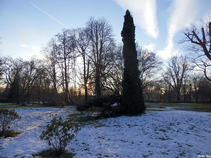 Mit dem Teleobjektiv im Stadtpark