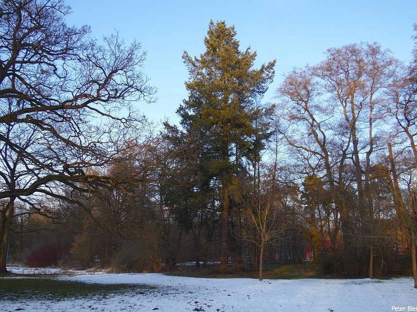 Mit dem Teleobjektiv im Stadtpark