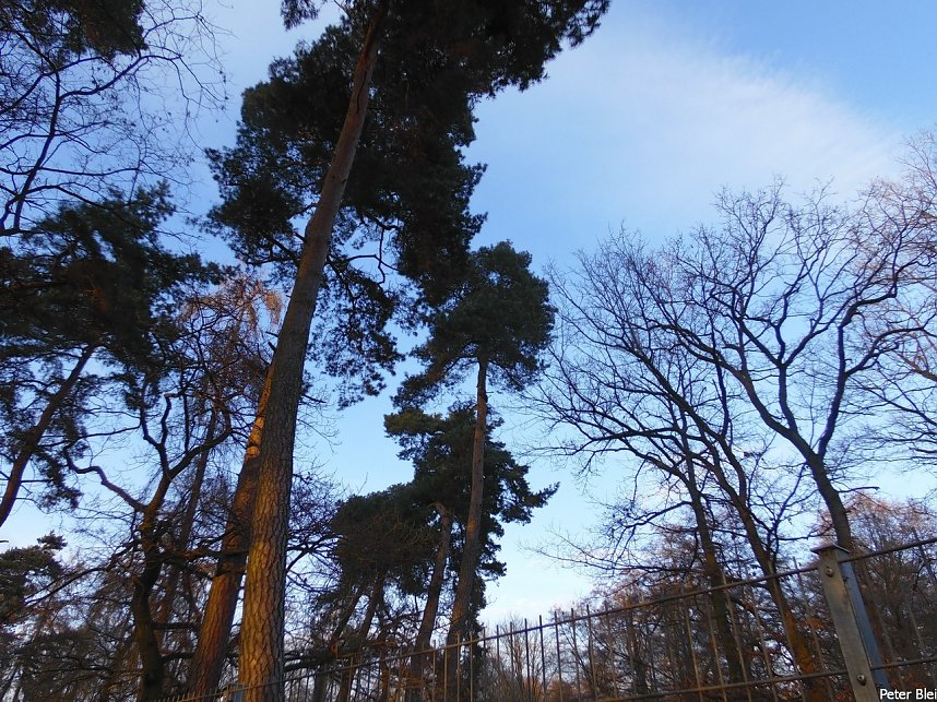 Mit dem Teleobjektiv im Stadtpark