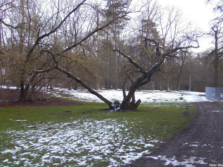 Mit dem Teleobjektiv im Stadtpark