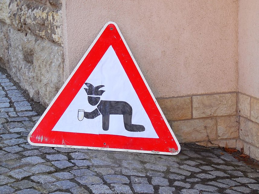 50 Jahre Karneval in Gro&szlig;lohra