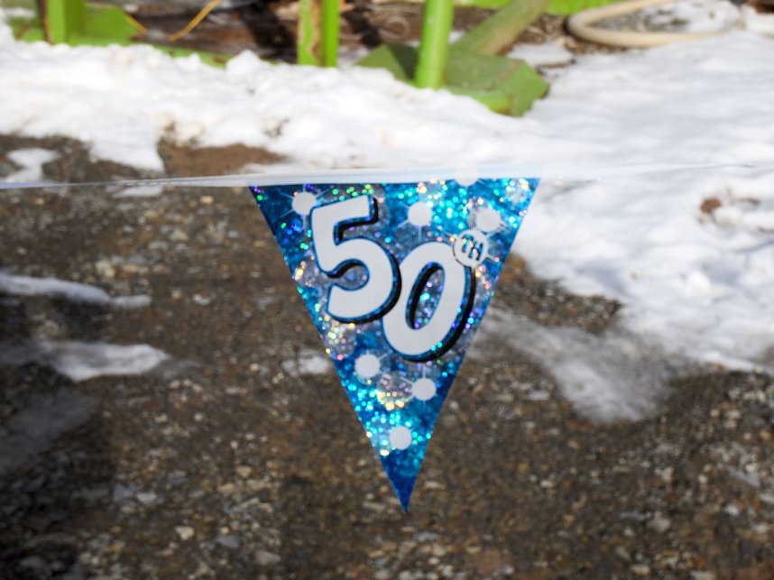 50 Jahre Karneval in Gro&szlig;lohra