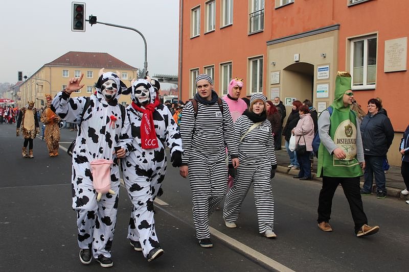 N&auml;rrinnen und Narren zogen durch Sondershausen (1)