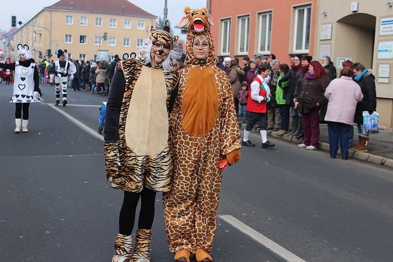 N&auml;rrinnen und Narren zogen durch Sondershausen (1)