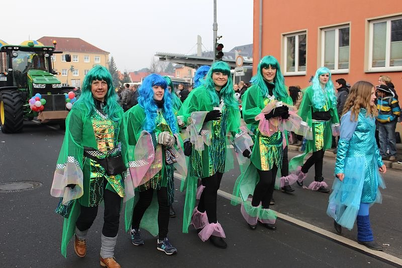 N&auml;rrinnen und Narren zogen durch Sondershausen (1)