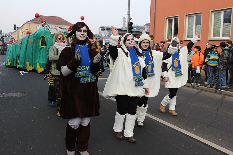 N&auml;rrinnen und Narren zogen durch Sondershausen (1)