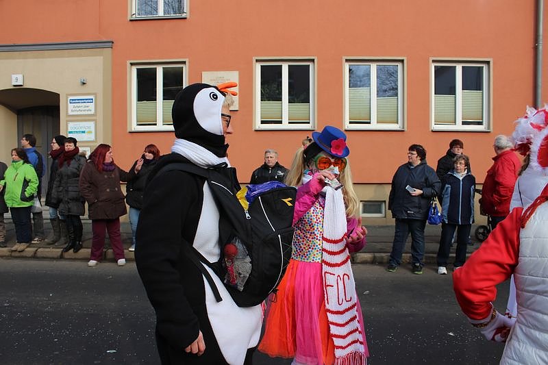 N&auml;rrinnen und Narren zogen durch Sondershausen (2)