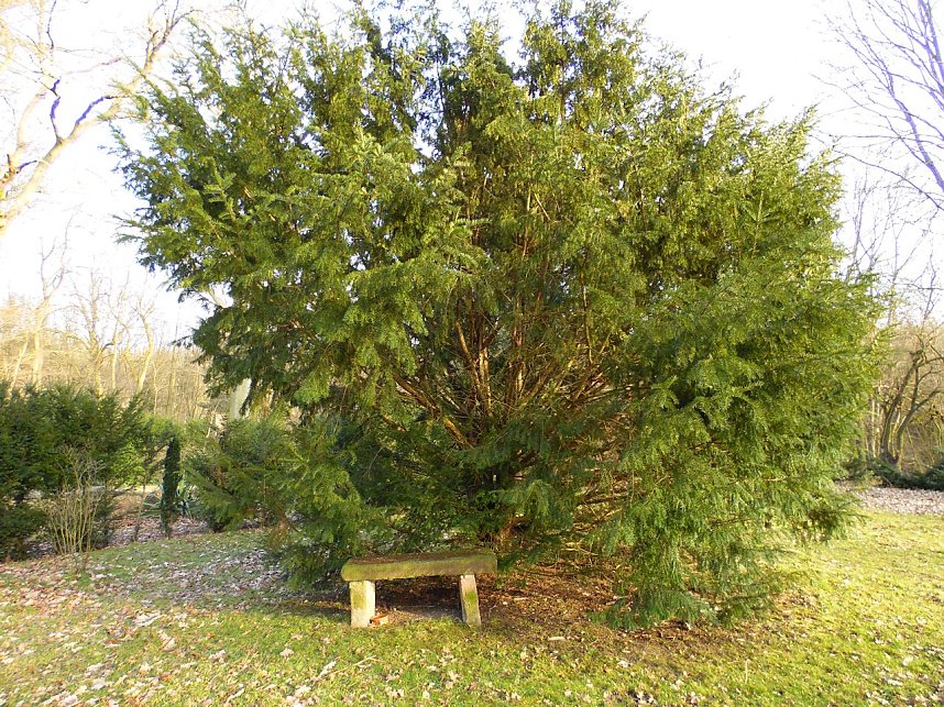 Schloss bei Beyernaumburg