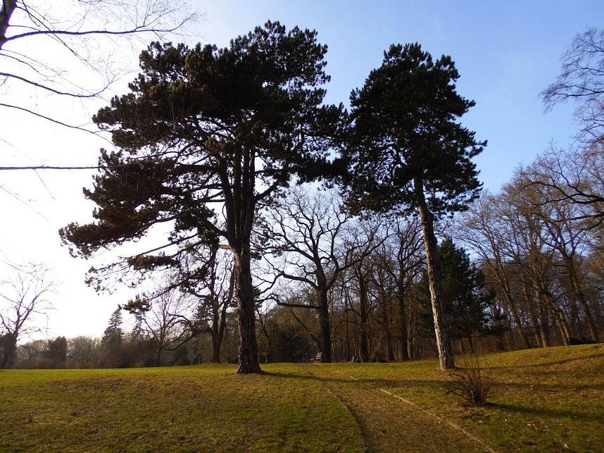 Schloss bei Beyernaumburg