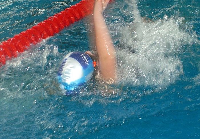 Um die Wette geschwommen