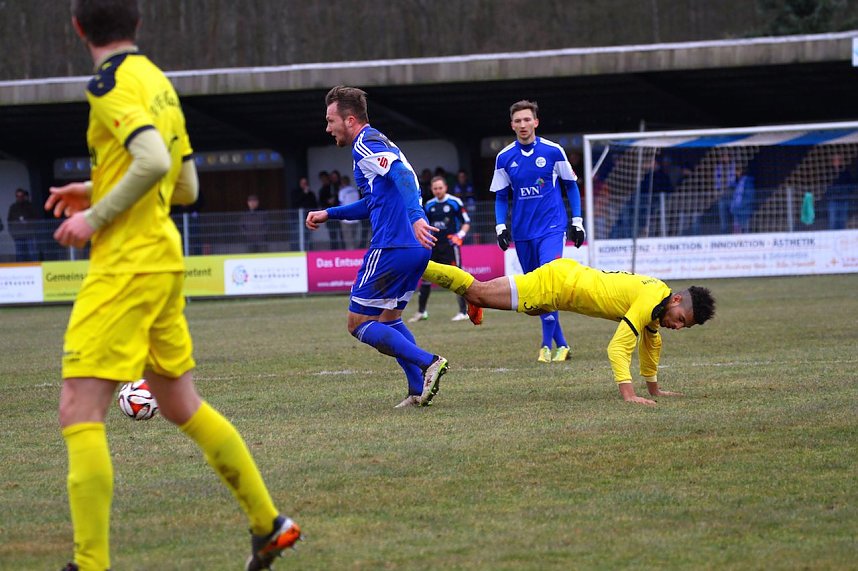 Wacker gewinnt 4:0 gegen Plauen
