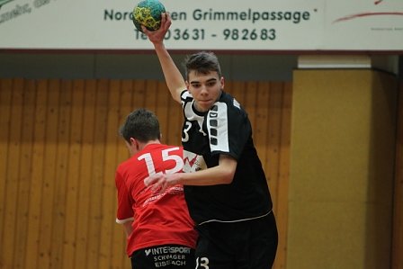 Handball am Wochenende