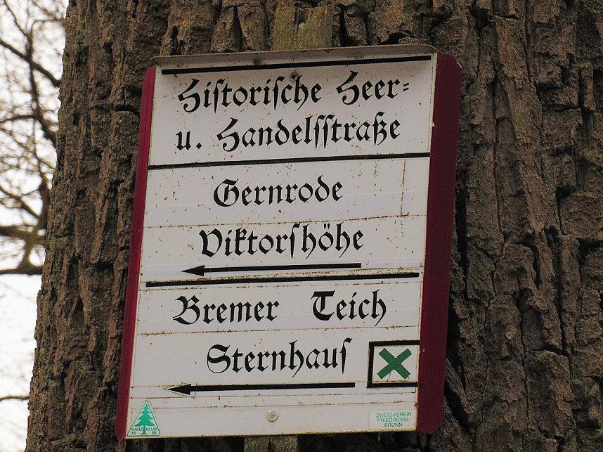 Rund um Friedrichsbrunn