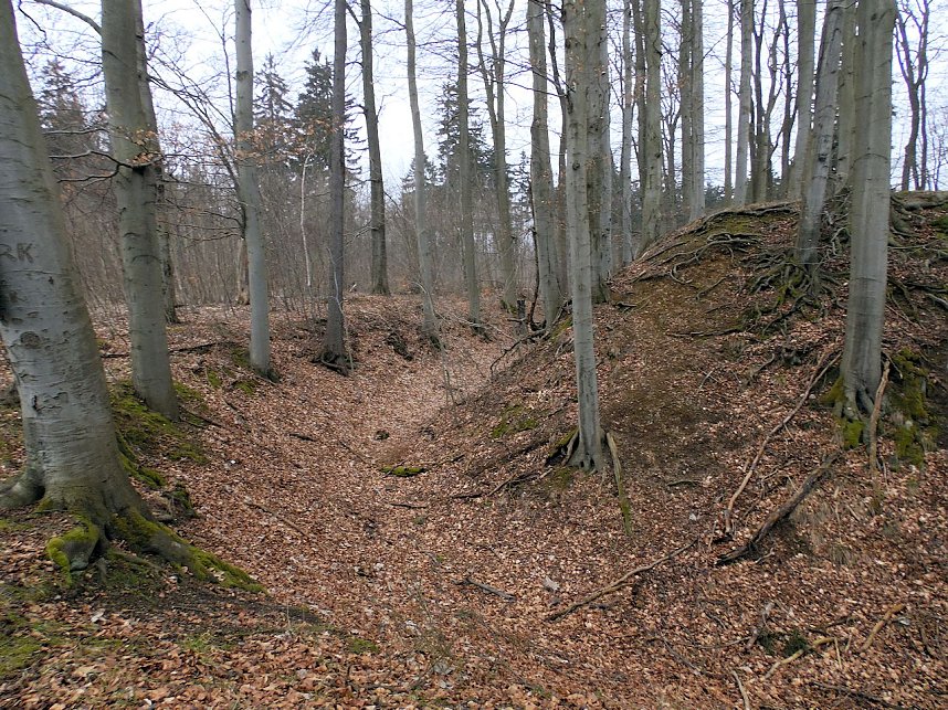 Rund um Friedrichsbrunn