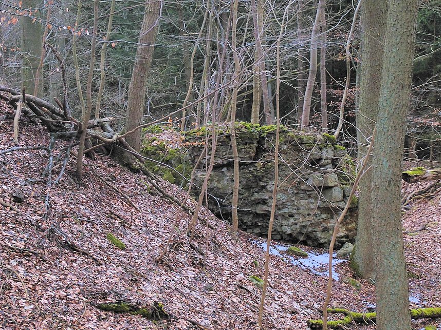 Rund um Friedrichsbrunn