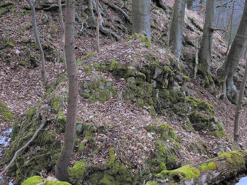 Rund um Friedrichsbrunn