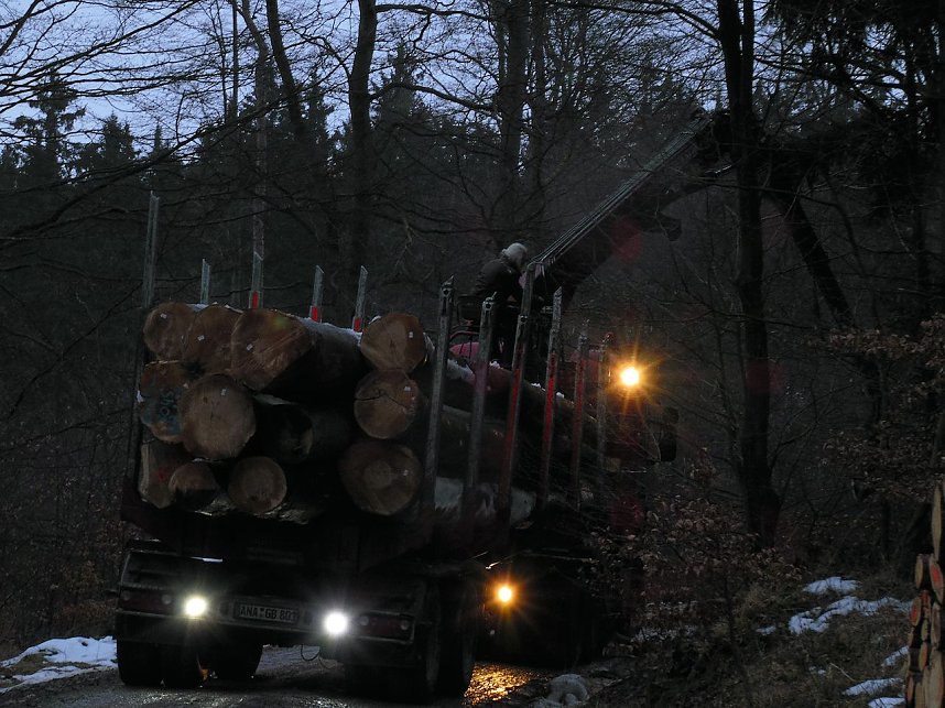 Rund um Friedrichsbrunn