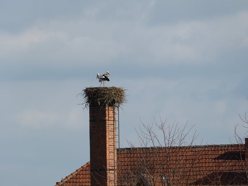 Exakt nach einem Jahr wieder gelandet