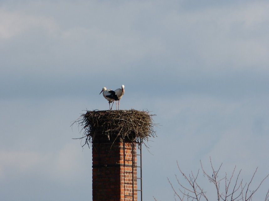 Exakt nach einem Jahr wieder gelandet