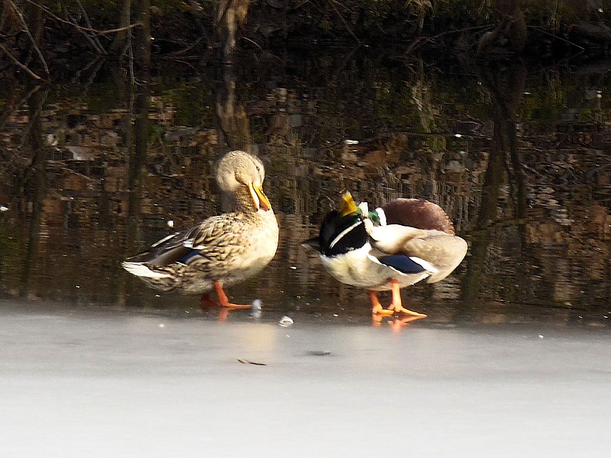 Unterwegs in Stra&szlig;berg