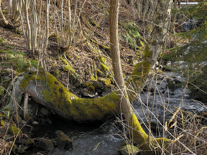 Unterwegs in Stra&szlig;berg