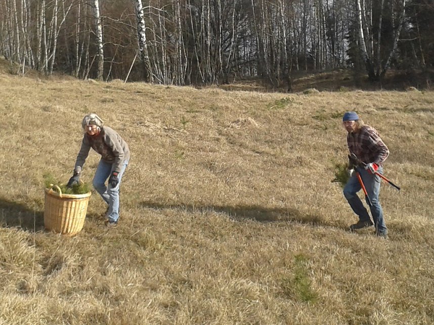 Der Nordh&auml;user Kreisverband des BUND beim Arbeitseinsatz auf den Pfaffenk&ouml;pfen