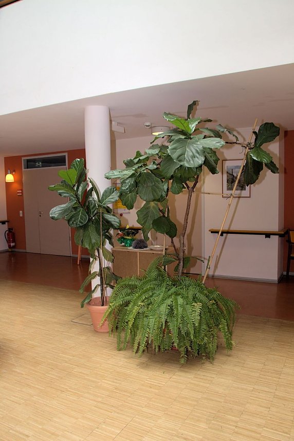 Offene T&uuml;ren im St. Jakob Haus