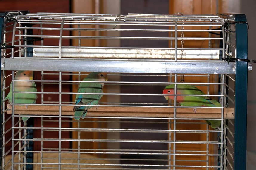 Offene T&uuml;ren im St. Jakob Haus