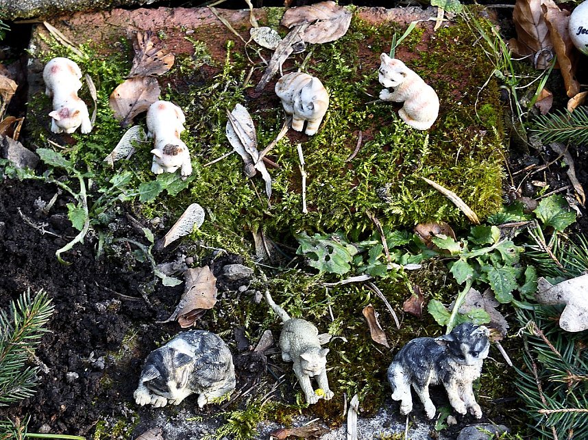 Tierfriedhof im S&uuml;dharz