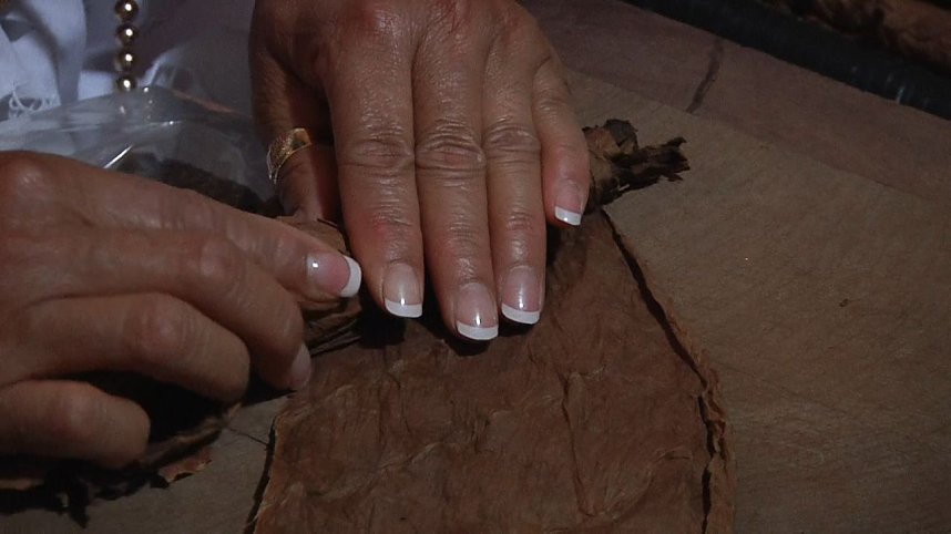 20 Jahre Nordh&auml;user Fr&uuml;hlingsball