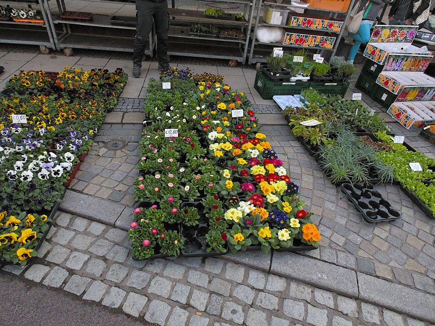 Ostermarkt in Sondershausen