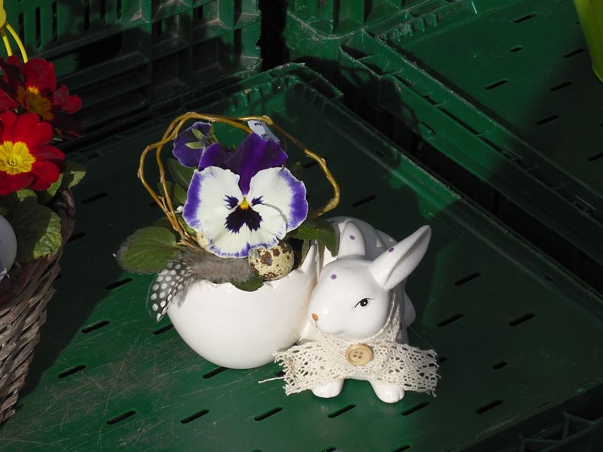 Ostermarkt in Sondershausen