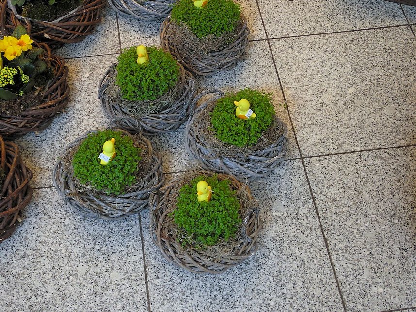 Ostermarkt in Sondershausen