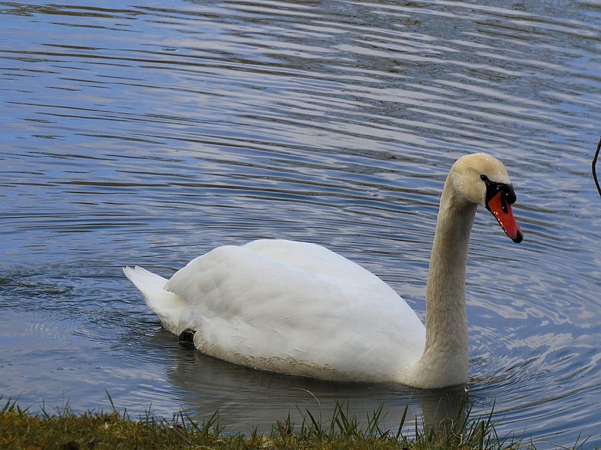 "Farbtupfer" aus Sondershausen