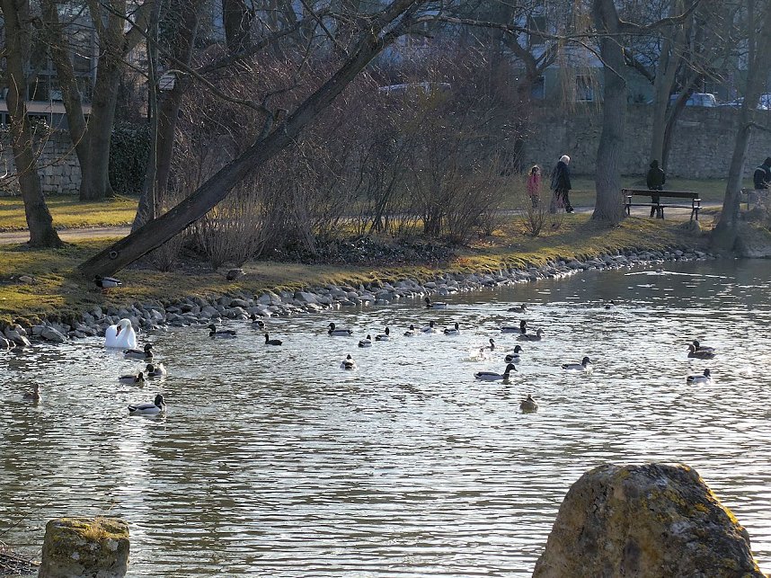 "Farbtupfer" aus Sondershausen