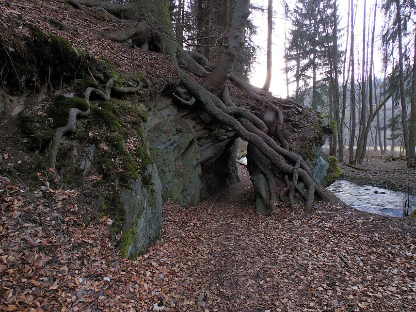 Peter Blei war mit der Kamera zwischen M&auml;gdesprung und Selketal unterwegs