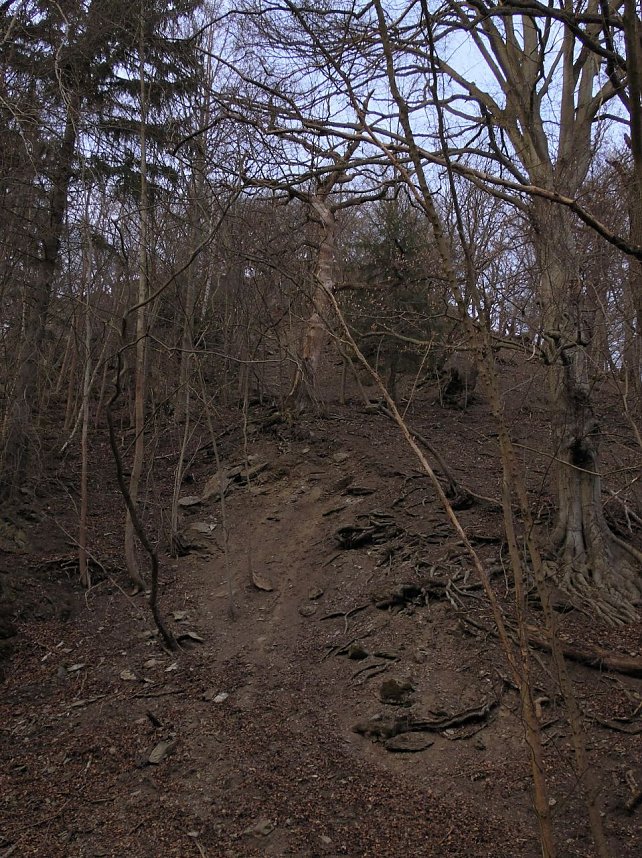 Peter Blei war mit der Kamera zwischen M&auml;gdesprung und Selketal unterwegs