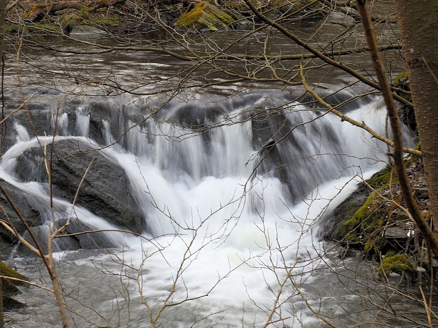 Peter Blei war mit der Kamera zwischen M&auml;gdesprung und Selketal unterwegs