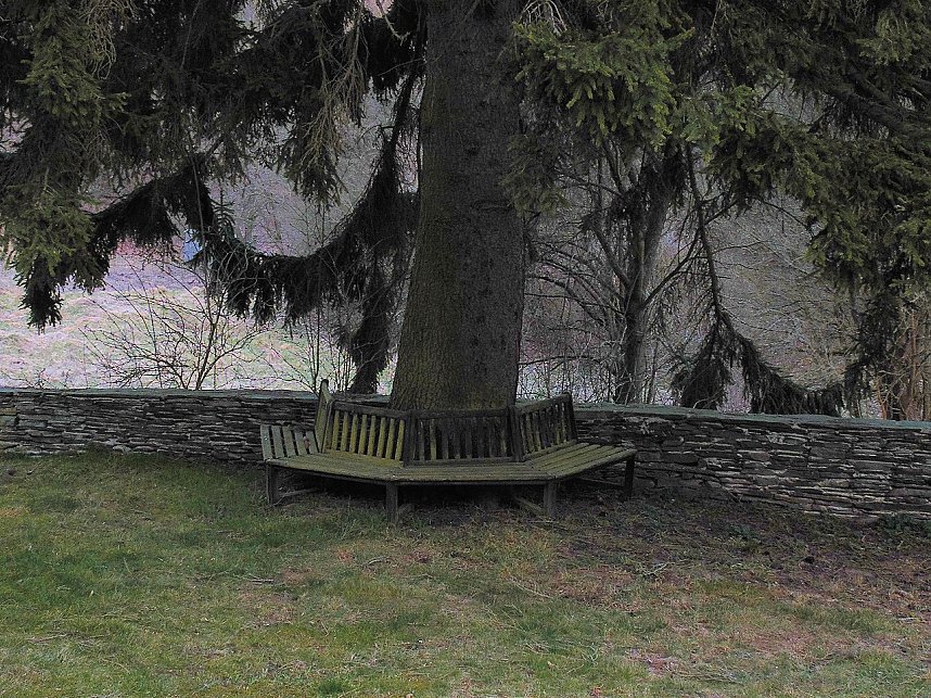 Peter Blei war mit der Kamera zwischen M&auml;gdesprung und Selketal unterwegs