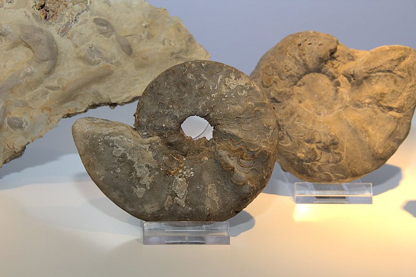 Museumsnacht in Nordhausen