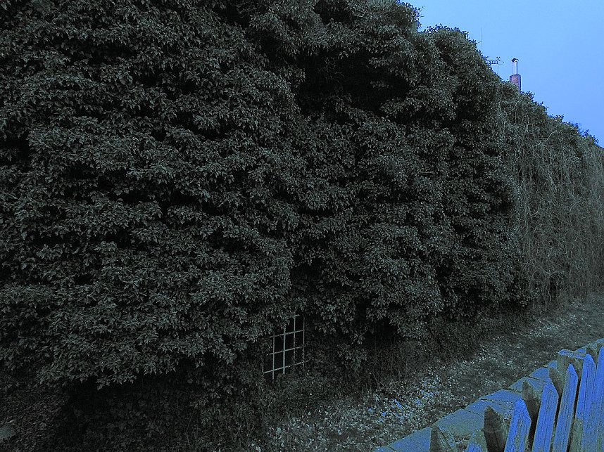 Besuch in M&auml;gdesprung