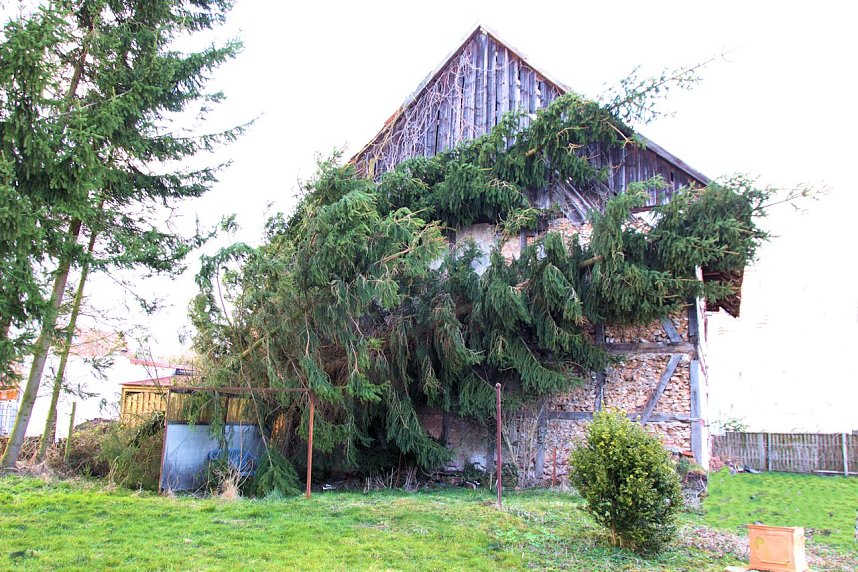 Sturmsch&auml;den in Liebenrode