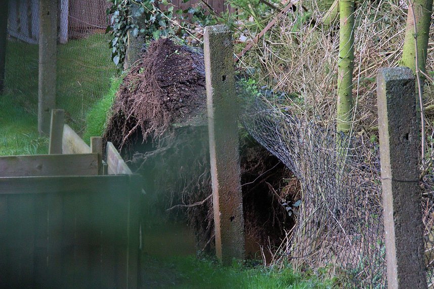 Sturmsch&auml;den in Liebenrode