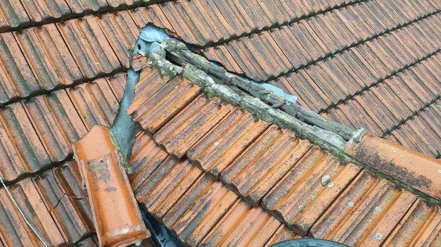 Eins&auml;tze f&uuml;r Bleicher&ouml;der Feuerwehr