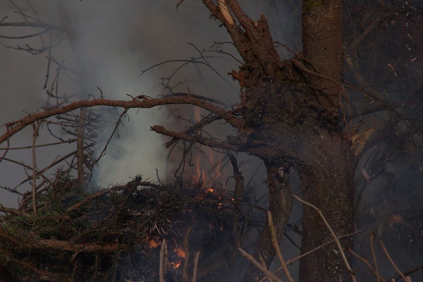Osterfeuer in Herreden