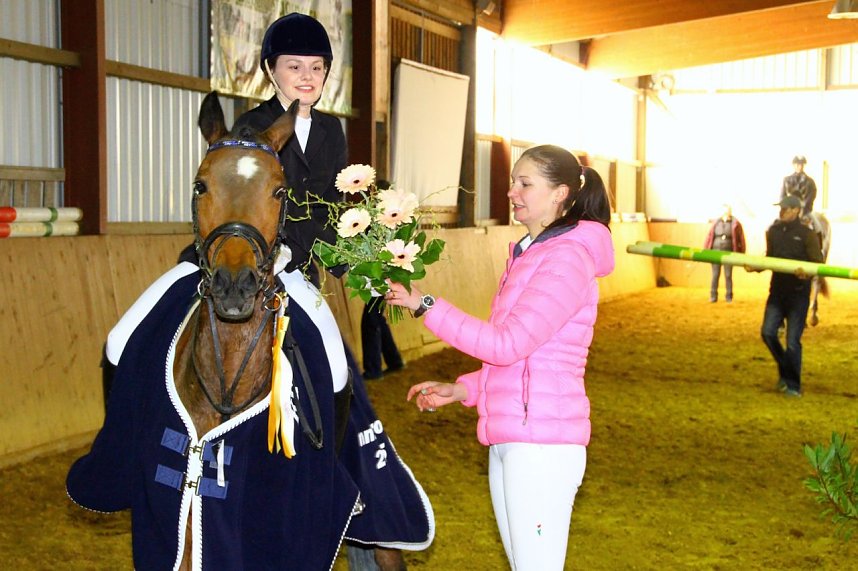 Springpferdepr&uuml;fung in Immenrode - beste Bedingungen bei trockenem Wetter