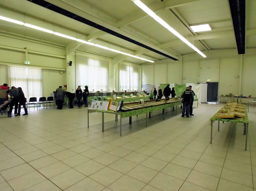 Insekten und mehr in Sundhausen