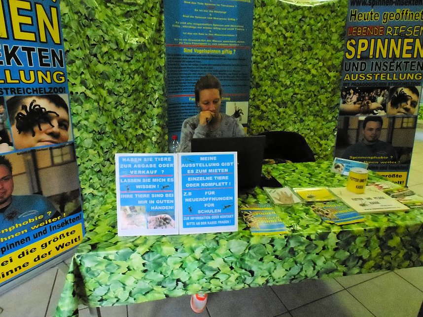 Insekten und mehr in Sundhausen